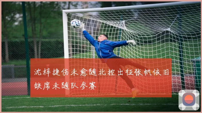 沈梓捷伤未愈随北控出征张帆依旧缺席未随队参赛